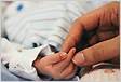 Nascimento Prematuro e a Licença Maternidade